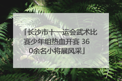 长沙市十一运会武术比赛少年组热血开赛 360余名小将展风采