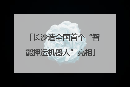 长沙造全国首个“智能押运机器人”亮相