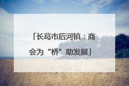 长葛市后河镇：商会为“桥”助发展