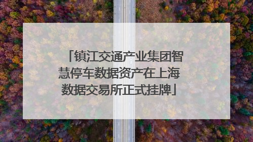 镇江交通产业集团智慧停车数据资产在上海数据交易所正式挂牌