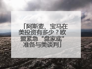 阿斯麦、宝马在美投资有多少？欧盟紧急“盘家底”准备与美谈判