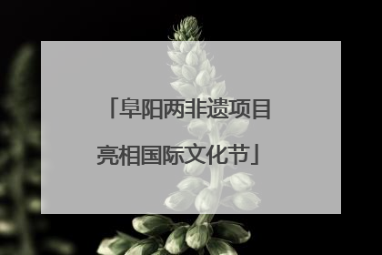 阜阳两非遗项目亮相国际文化节