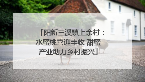 阳新三溪镇上余村：水蜜桃喜迎丰收 甜蜜产业助力乡村振兴