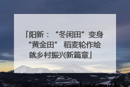 阳新：“冬闲田”变身“黄金田” 稻麦轮作绘就乡村振兴新篇章