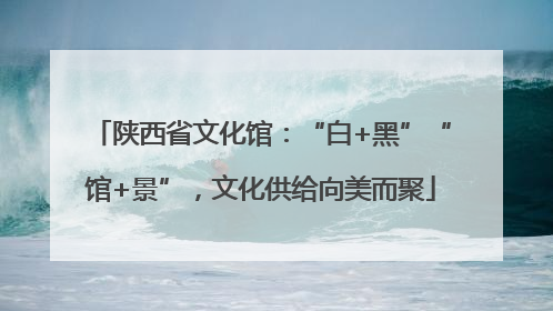 陕西省文化馆：“白+黑”“馆+景”，文化供给向美而聚