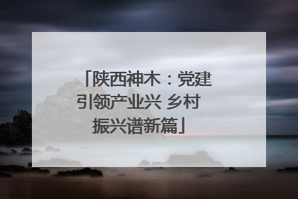 陕西神木：党建引领产业兴 乡村振兴谱新篇