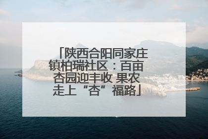 陕西合阳同家庄镇柏瑞社区：百亩杏园迎丰收 果农走上“杏”福路