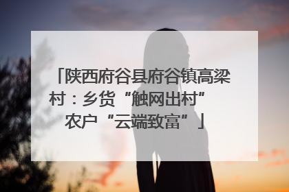 陕西府谷县府谷镇高梁村：乡货“触网出村” 农户“云端致富”