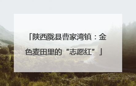 陕西陇县曹家湾镇：金色麦田里的“志愿红”