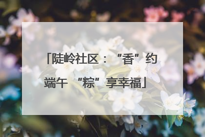 陡岭社区：“香”约端午 “粽”享幸福