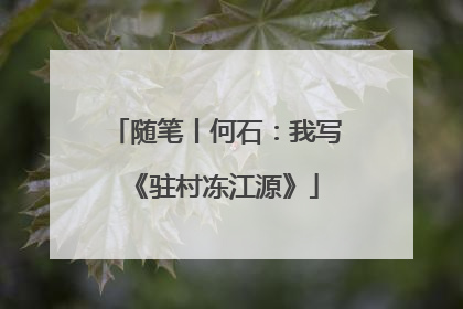 随笔丨何石：我写《驻村冻江源》