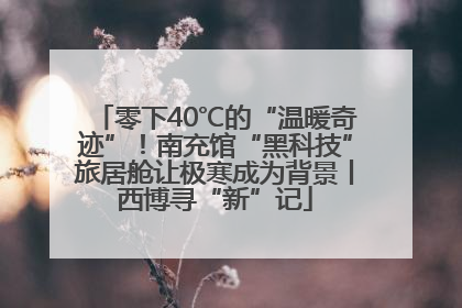 零下40℃的“温暖奇迹”！南充馆“黑科技”旅居舱让极寒成为背景丨西博寻“新”记