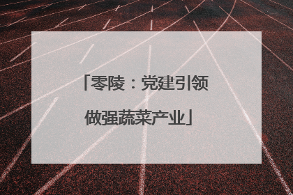 零陵：党建引领 做强蔬菜产业
