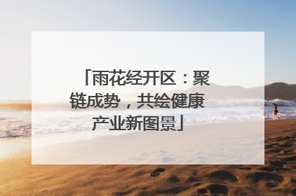 雨花经开区：聚链成势，共绘健康产业新图景