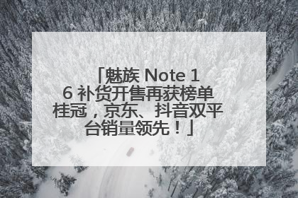 魅族 Note 16 补货开售再获榜单桂冠，京东、抖音双平台销量领先！