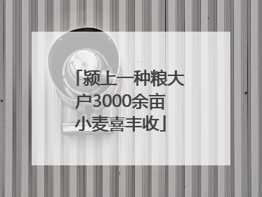 颍上一种粮大户3000余亩小麦喜丰收