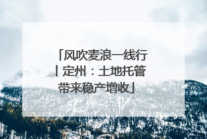 风吹麦浪一线行丨定州：土地托管带来稳产增收