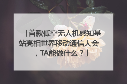 首款低空无人机感知基站亮相世界移动通信大会，TA能做什么？