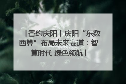 香约庆阳丨庆阳“东数西算”布局未来赛道：智算时代 绿色领航