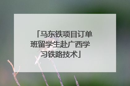 马东铁项目订单班留学生赴广西学习铁路技术