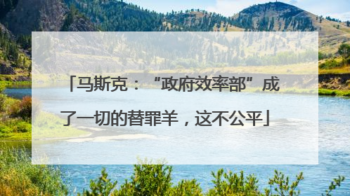 马斯克：“政府效率部”成了一切的替罪羊，这不公平