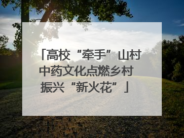 高校“牵手”山村 中药文化点燃乡村振兴“新火花”