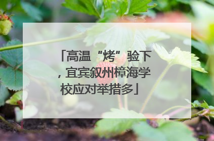 高温“烤”验下，宜宾叙州樟海学校应对举措多