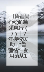 鲁疆同心绘新篇采风行（7）｜7年接续援助 “鲁疆情”食用菌从1.0走向4.0