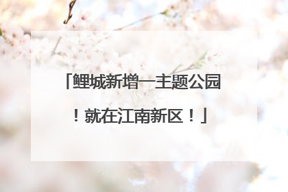 鲤城新增一主题公园！就在江南新区！
