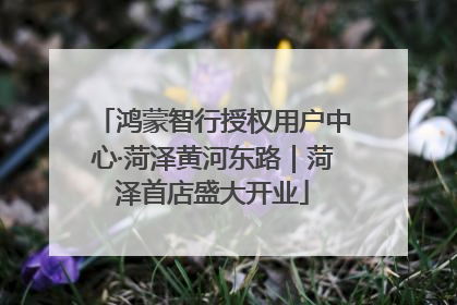 鸿蒙智行授权用户中心·菏泽黄河东路｜菏泽首店盛大开业