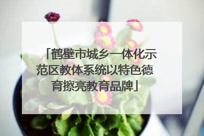 鹤壁市城乡一体化示范区教体系统以特色德育擦亮教育品牌