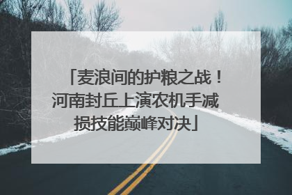 麦浪间的护粮之战！河南封丘上演农机手减损技能巅峰对决