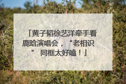 黄子韬徐艺洋牵手看鹿晗演唱会，“老相识” 同框太好嗑！