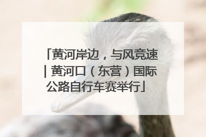 黄河岸边，与风竞速｜黄河口（东营）国际公路自行车赛举行