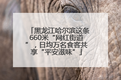 黑龙江哈尔滨这条660米“网红街道”，日均万名食客共享“平安滋味”