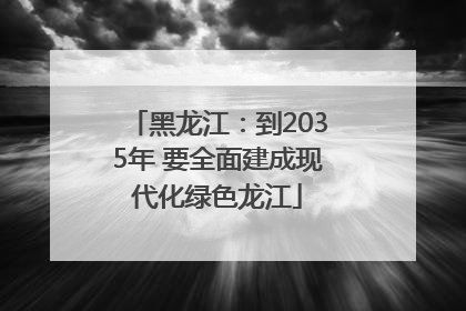黑龙江：到2035年 要全面建成现代化绿色龙江