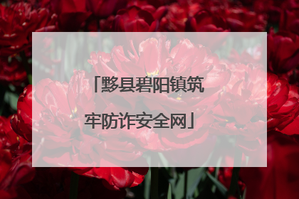 黟县碧阳镇筑牢防诈安全网