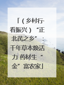 （乡村行·看振兴）“正北芪之乡”：千年草本焕活力 药材生“金”富农家