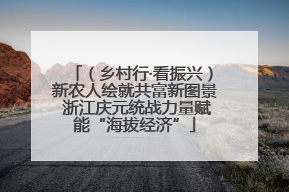 （乡村行·看振兴）新农人绘就共富新图景 浙江庆元统战力量赋能“海拔经济”