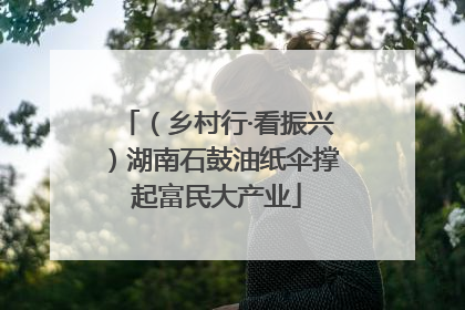 （乡村行·看振兴）湖南石鼓油纸伞撑起富民大产业