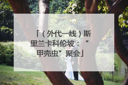 （外代一线）斯里兰卡科伦坡：“甲壳虫”聚会