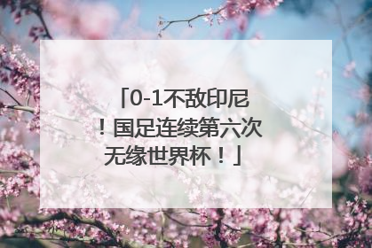 0-1不敌印尼！国足连续第六次无缘世界杯！