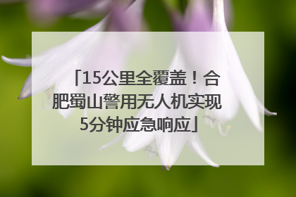 15公里全覆盖！合肥蜀山警用无人机实现5分钟应急响应
