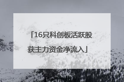 16只科创板活跃股获主力资金净流入