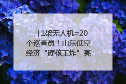 1架无人机=20个巡查员！山东低空经济“硬核王炸”亮相青岛，下一个万亿赛道藏在这里