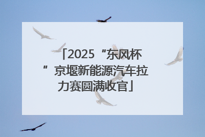 2025“东风杯”京堰新能源汽车拉力赛圆满收官