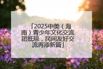 2025中美（海南）青少年文化交流团抵琼，民间友好交流再添新篇