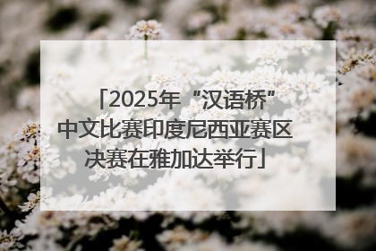 2025年“汉语桥”中文比赛印度尼西亚赛区决赛在雅加达举行