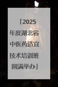 2025年度湖北省中医药适宜技术培训班圆满举办