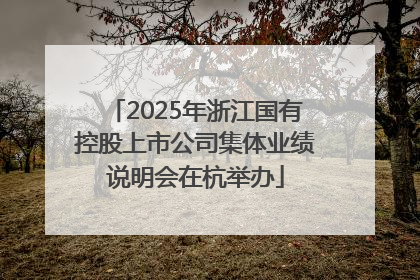 2025年浙江国有控股上市公司集体业绩说明会在杭举办